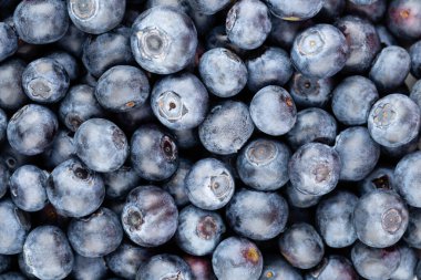 Metnin için fotokopi alanı olan taze yabanmersini arkaplanı. Sınır tasarımı. Vejetaryen ve vejetaryen kavramı. Yaban mersinli makarnanın dokusu. Yaz sağlıklı yemekleri. Pankart.