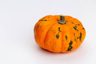 Creative Top view düz sonbahar kompozisyonu. Kabak kabaklarından yapılmış çerçeve renkli kağıt arkaplan kopyalama alanı. Şablon güz hasadı Şükran Günü Cadılar Bayramı davetiye kartları.