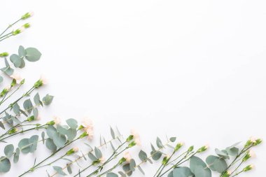 Çiçekler ve okaliptüs kompozisyonu. Beyaz arka planda çeşitli renkli çiçeklerden oluşan desen. Düz yaşam stiil yatıyordu.