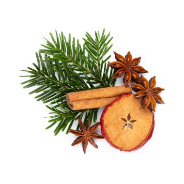 Beyaz arkaplanda çam kozalakları ve köknar ağacı dalı.