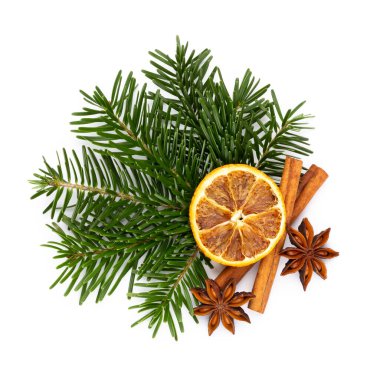 Beyaz arkaplanda çam kozalakları ve köknar ağacı dalı.