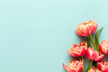 Bahar çiçekleri. Pastel renklerde laleler. Tebrik kartı Retro Vintage tarzı. Anneler günü, Paskalya tebrik kartı..