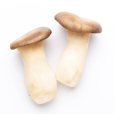 Kral istiridye mantarı. Beyaz arka planda eryngii mantarı.