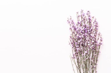 Çiçek kompozisyonu. Pembe arka planda pembe çiçekler. Paskalya, bahar konsepti. Tebrik kartı, düz konum, üst görünüm. 