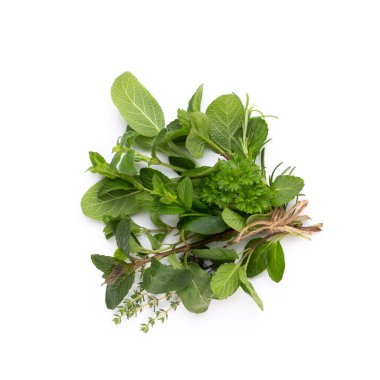 Beyaz arka planda izole edilmiş baharat bitkisi. Üst Manzara. Düz uzanma deseni.