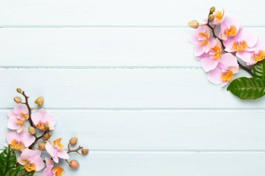 Spa aromaterapi arka planı, basit orkide çiçekleriyle süslenmiş çeşitli güzellik ürünleri..