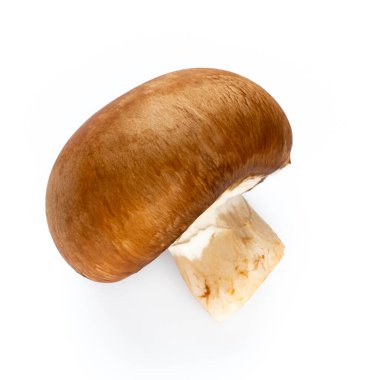 Taze şampiyon mantarları beyazda izole edilmiş.. 