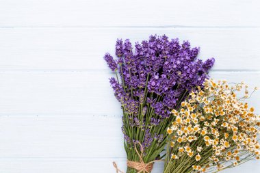 Lavanta çiçekleri beyaz arkaplanda izole edilmiş..