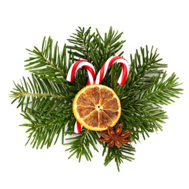 Beyaz arkaplanda çam kozalakları ve köknar ağacı dalı.