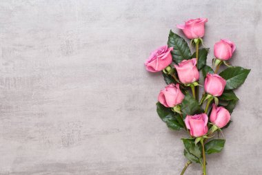 Çiçek tebrik kartı. Gri arkaplanda pembe gülden yapılmış bir çerçeve. Düz konum, üst görünüm, kopyalama alanı.