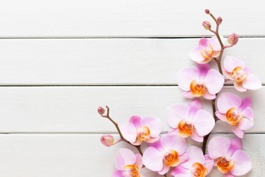 Ahşap pastel arka planda orkide çiçeği. Spa ve sağlık manzarası.