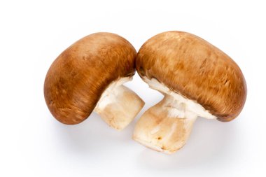 Taze şampiyon mantarları beyazda izole edilmiş.. 