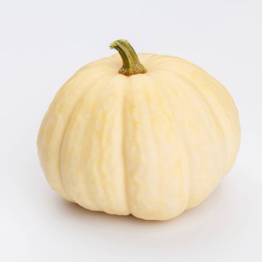 Creative Top view düz sonbahar kompozisyonu. Kabak kabaklarından yapılmış çerçeve renkli kağıt arkaplan kopyalama alanı. Şablon güz hasadı Şükran Günü Cadılar Bayramı davetiye kartları.