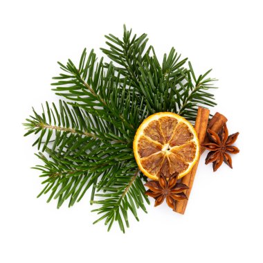 Beyaz arkaplanda çam kozalakları ve köknar ağacı dalı.