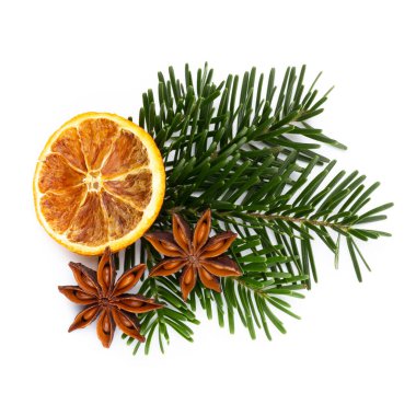 Beyaz arkaplanda çam kozalakları ve köknar ağacı dalı.