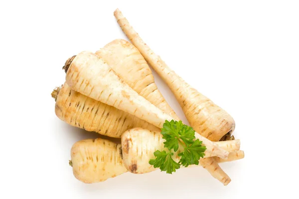 Parsnip Persley Izolate Fundal Alb — Fotografie, imagine de stoc