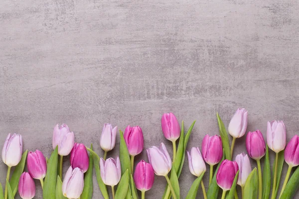 Spring Flowers Greeting Card Pastel Color Tulips Gray Background — Stock Photo, Image