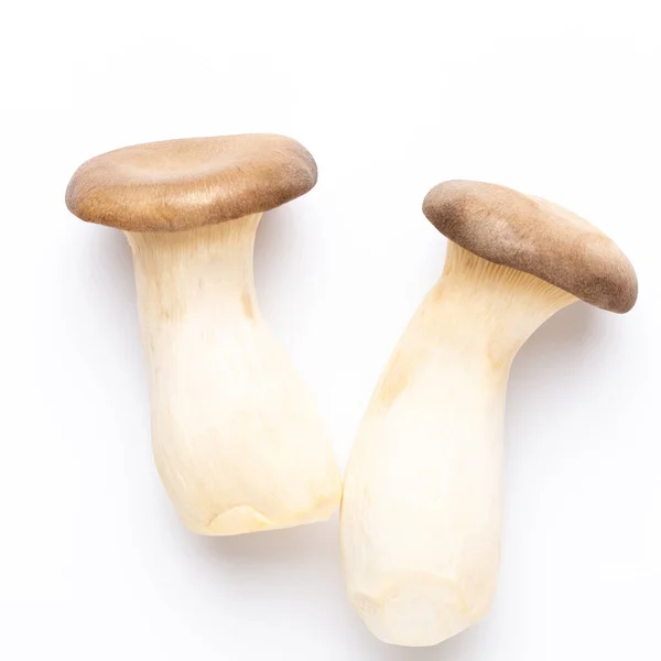 King Oyster Mushroom Eryngii Mushroom White Background — Stock Photo, Image