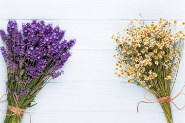 Lavanta çiçekleri beyaz arkaplanda izole edilmiş..