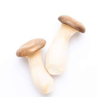 Kral istiridye mantarı. Beyaz arka planda eryngii mantarı.