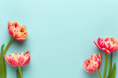 Bahar çiçekleri. Pastel renklerde laleler. Tebrik kartı Retro Vintage tarzı. Anneler günü, Paskalya tebrik kartı..