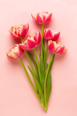 Bahar çiçekleri. Pastel renklerde laleler. Tebrik kartı Retro Vintage tarzı. Anneler günü, Paskalya tebrik kartı..