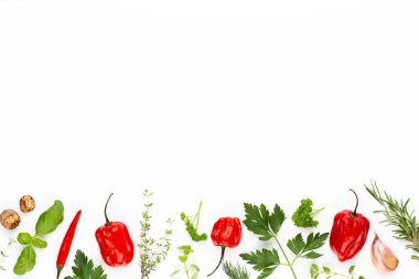 Baharatlı bitkisel yapraklar ve beyaz arka planda kırmızı biber. Sebze deseni. Çiçekler ve sebzeler beyaz arka planda. Üst manzara, düz uzanma.