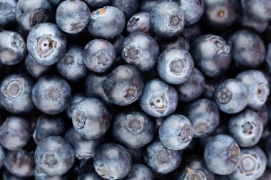 Metnin için fotokopi alanı olan taze yabanmersini arkaplanı. Sınır tasarımı. Vejetaryen ve vejetaryen kavramı. Yaban mersinli makarnanın dokusu. Yaz sağlıklı yemekleri. Pankart.