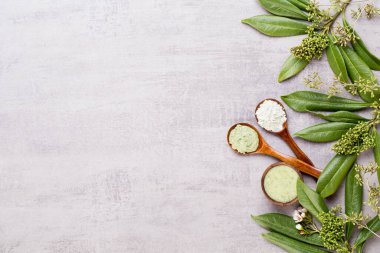 Metin için alanı olan bir spa arkaplanı. Spa tebrik kartına iyi gelir.. 