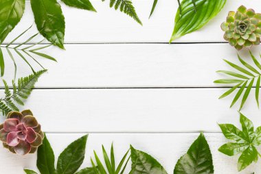 Spa kozmetik ürünleri konsepti, metin için bir arkaplan, düz uzanma, yukarıdan görünüm.