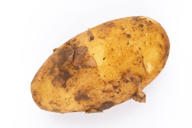 Beyaz arka planda izole edilmiş yeni patates. Yakın plan..