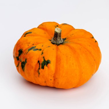 Creative Top view düz sonbahar kompozisyonu. Kabak kabaklarından yapılmış çerçeve renkli kağıt arkaplan kopyalama alanı. Şablon güz hasadı Şükran Günü Cadılar Bayramı davetiye kartları.