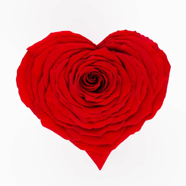 Herz Aus Rose Isoliert Auf Weißem Hintergrund — Stockfoto
