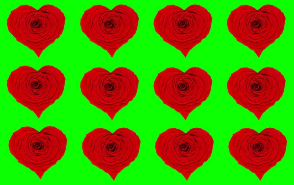 Valentin Nap Háttér Vörös Rózsa Szív Nagyító Kártyák — Stock Fotó