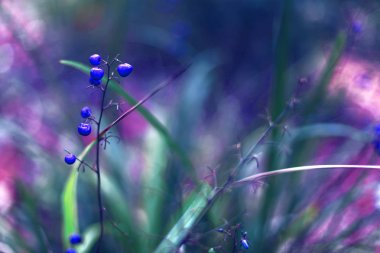 Soyut doğa arkaplanı