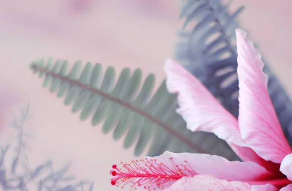 Soyut doğa arkaplanı