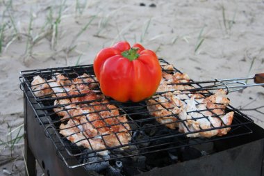 Meat with vegetables on the grill, on the beach clipart
