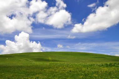 Güzel dağ çiçekleri ve buzul Gölü. Bu dağ çayır bitkisi ve buzul Gölü ile Shar dağ, Kosova çekildi