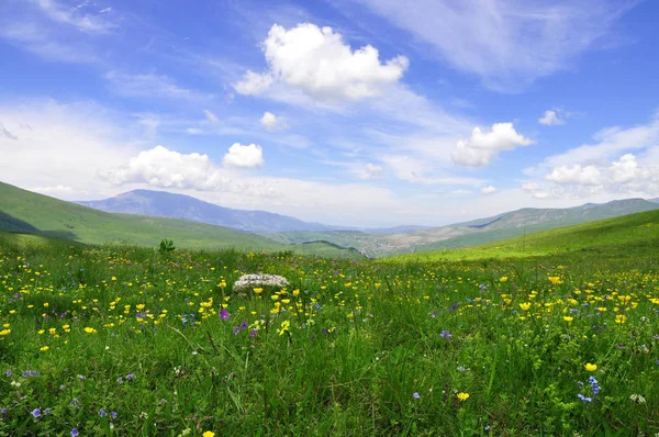 Arka plan gökyüzü, çim ve dağ