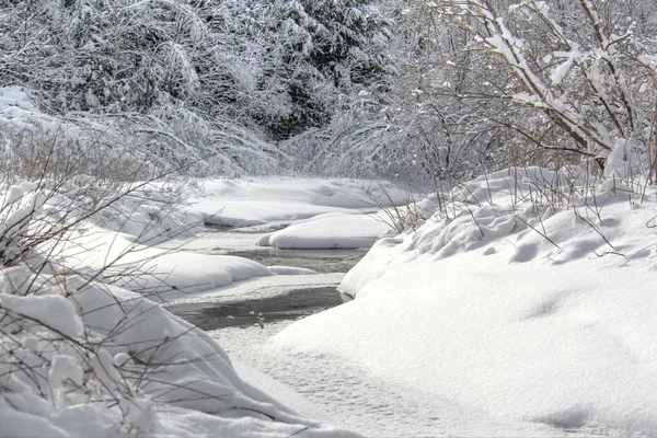 Fluxo de Inverno mais fresco — Fotografia de Stock