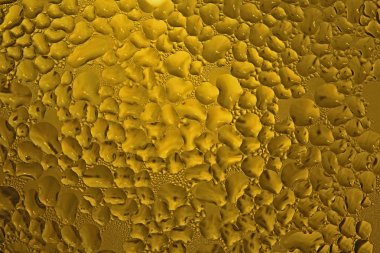 Sarı kabarcıklar uygunluğunu