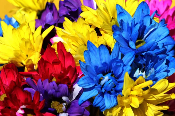 Close-up of colorfull flowers in a bouquet — Stockfoto