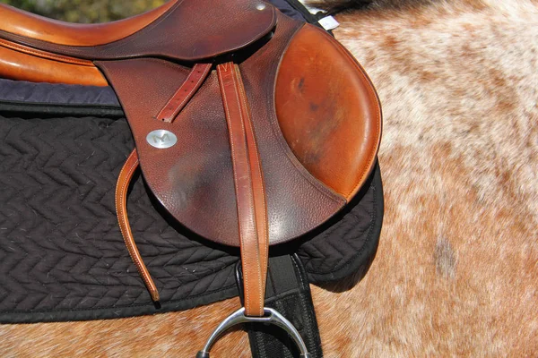 Equestian spur boot and saddle for competition — Stock Photo, Image