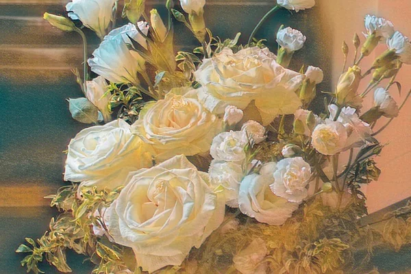 Дизайн створив фотографії білих троянд букета — стокове фото