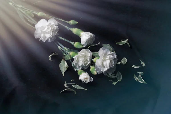 Дизайн створив фотографії білих троянд букета — стокове фото