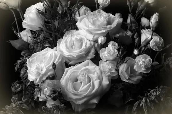 Design generated photos of white roses bouquet for valentine — 스톡 사진