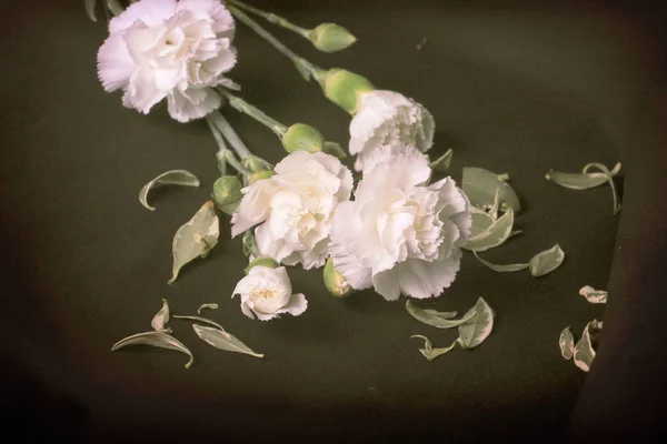 Дизайн сгенерированные фотографии белого букета роз для валентина — стоковое фото