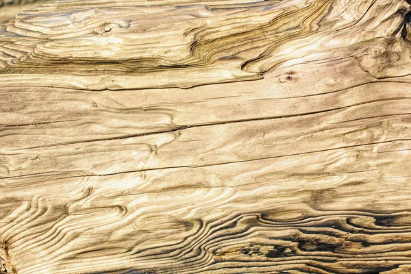 Couleurs et paternes en bois flotté dans des formes naturelles — Photo
