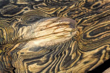 Sürüklenen renk ve desenler doğal format biçiminde