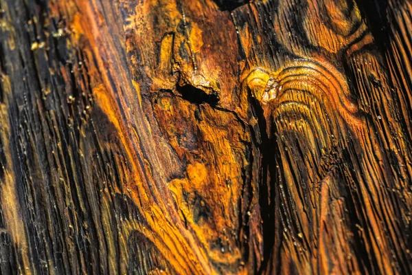 Colores y paternos de madera a la deriva en formas de formato natural — Foto de Stock